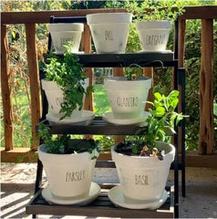 Plant Stand Perfect Way to Organize and Display Potted Plants, Ceramics, Kitsch, Outdoor Tools, and Any Other Odds and Ends