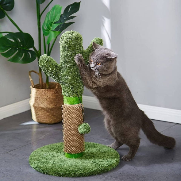 Cat Catcus Scratching Post Tree with Play Ball and Rubber Scratcher Green Protect Your Furnitur