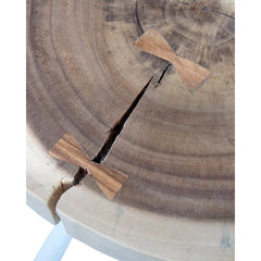 White Solid Wood Tree Stump End Table Perfect for Bringing A Natural Touch To Any Room Natural Source Material