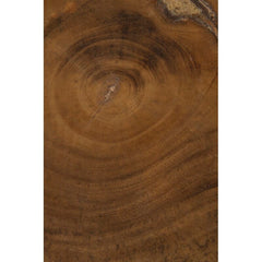 White Solid Wood Tree Stump End Table Perfect for Bringing A Natural Touch To Any Room Natural Source Material