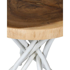 White Solid Wood Tree Stump End Table Perfect for Bringing A Natural Touch To Any Room Natural Source Material