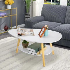 Coffee Table Simple Design & Double Layer Indoor Design