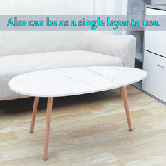 Coffee Table Simple Design & Double Layer Indoor Design