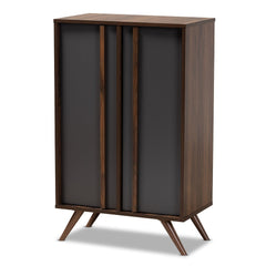 Modern and Contemporary 2-Door Shoe Cabinet Five Shelves with Space to Store up to 15 Pairs of Shoes