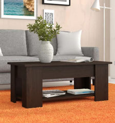 Bettye Lift Top Extendable Coffee Table with Storage